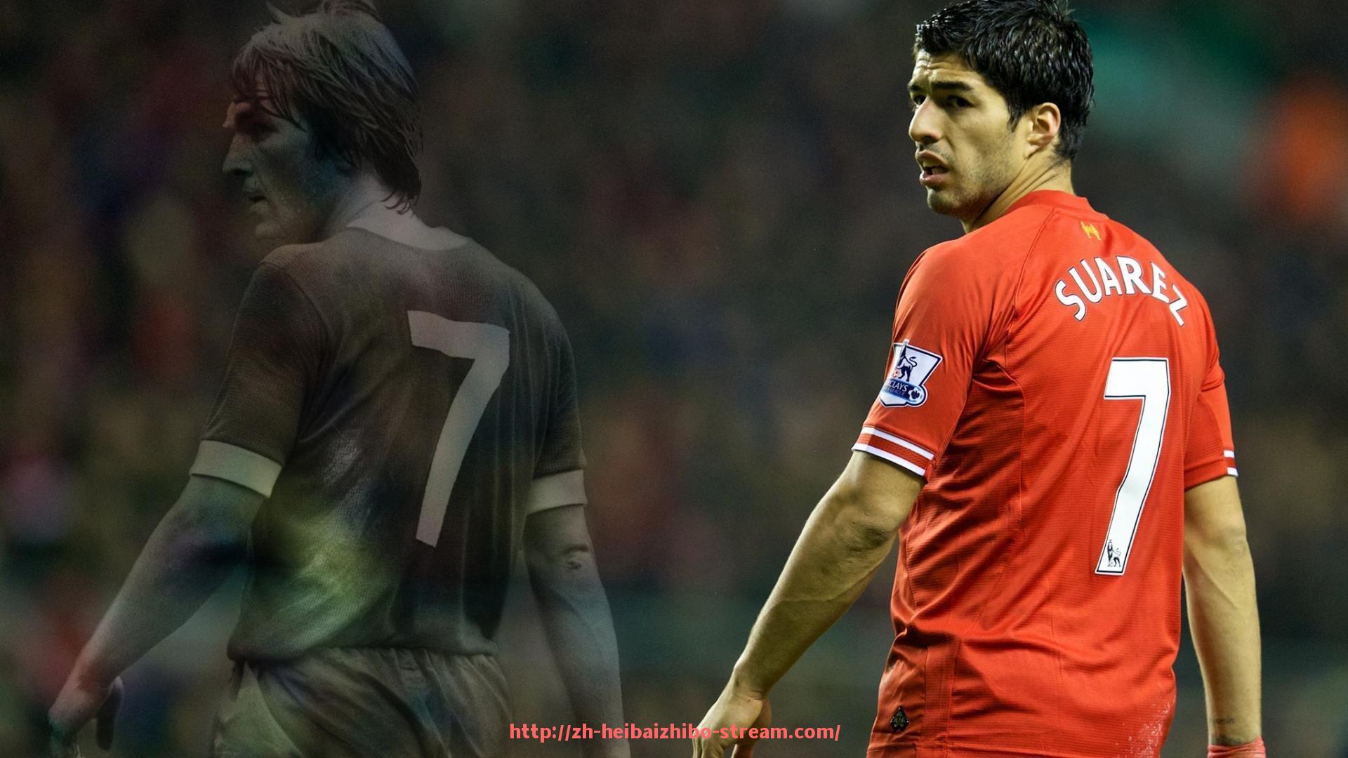 黑白体育直播-法甲球迷支持度分析及球迷行为研究报告