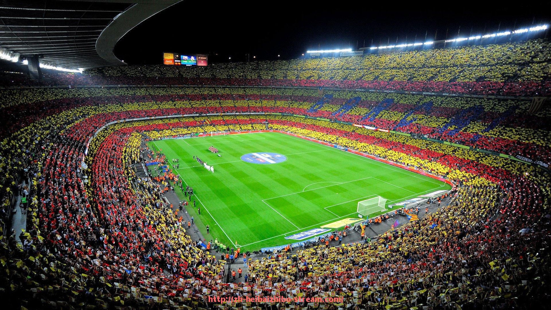 黑白体育直播-法甲球迷支持度分析及球迷行为研究报告